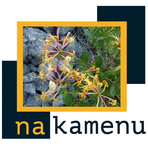 na kamenu